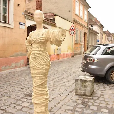 Miva Brasov